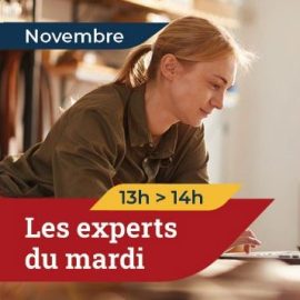 Experts du mardi novembre