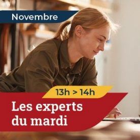 Experts du mardi novembre