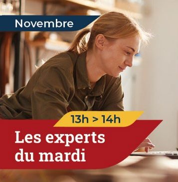 Webinaires Novembre 2024 : les experts du mardi